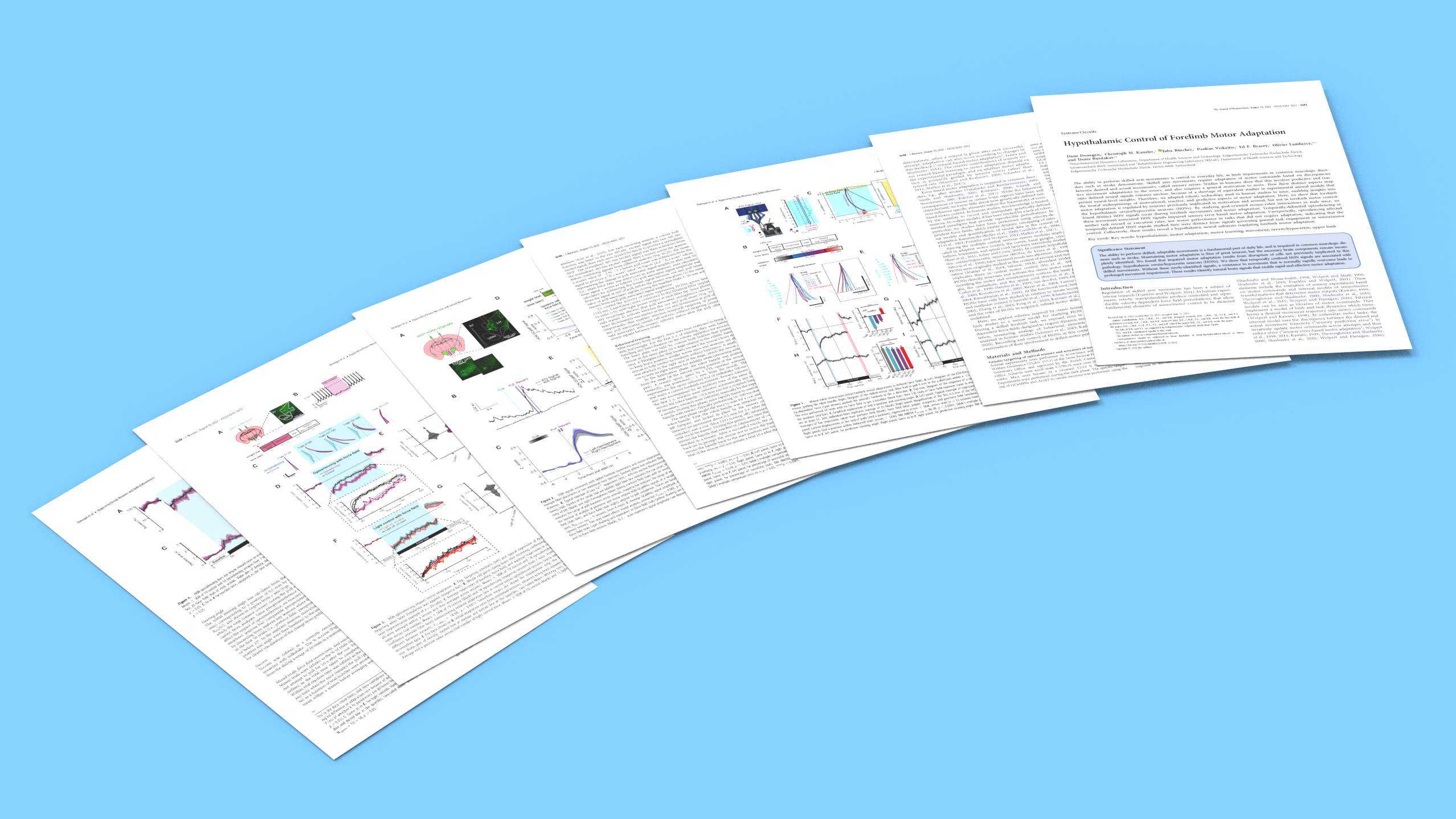 Enlarged view: Visualisation with Publication